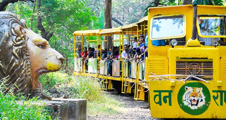 Sanjay Gandhi National Park Mumbai Timings (History, Entry Fee ...