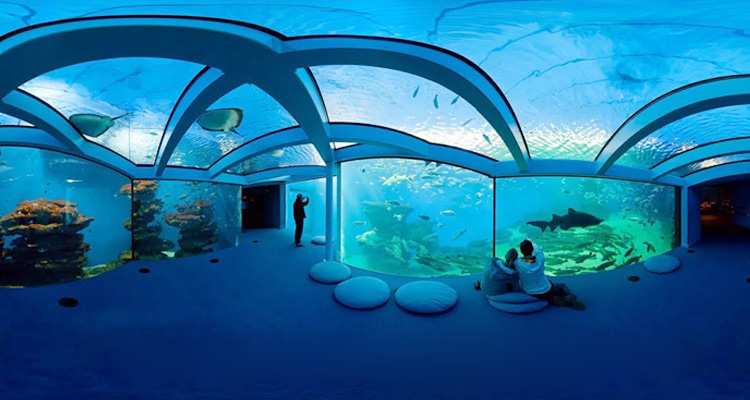 Taraporewala Aquarium Mumbai Timings (History, Entry Fee, Images, Built by   Information) - 2023 Mumbai Tourism