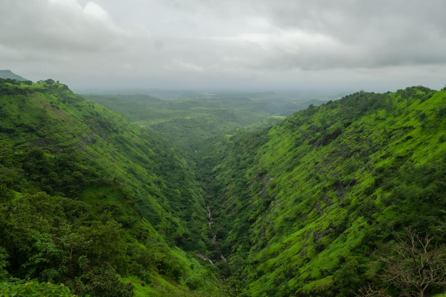 Mahabaleshwar