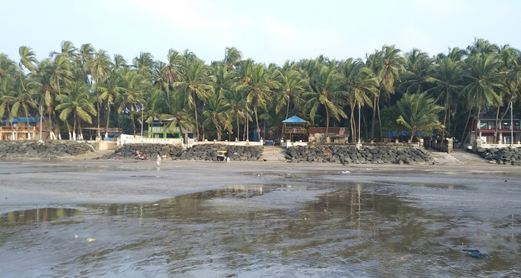 85+ most beautiful images in Gorai Beach in India