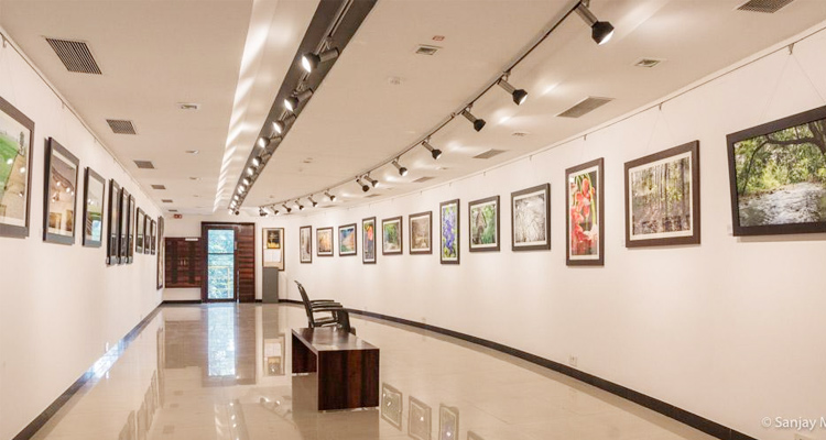 jehangir art gallery case study slideshare