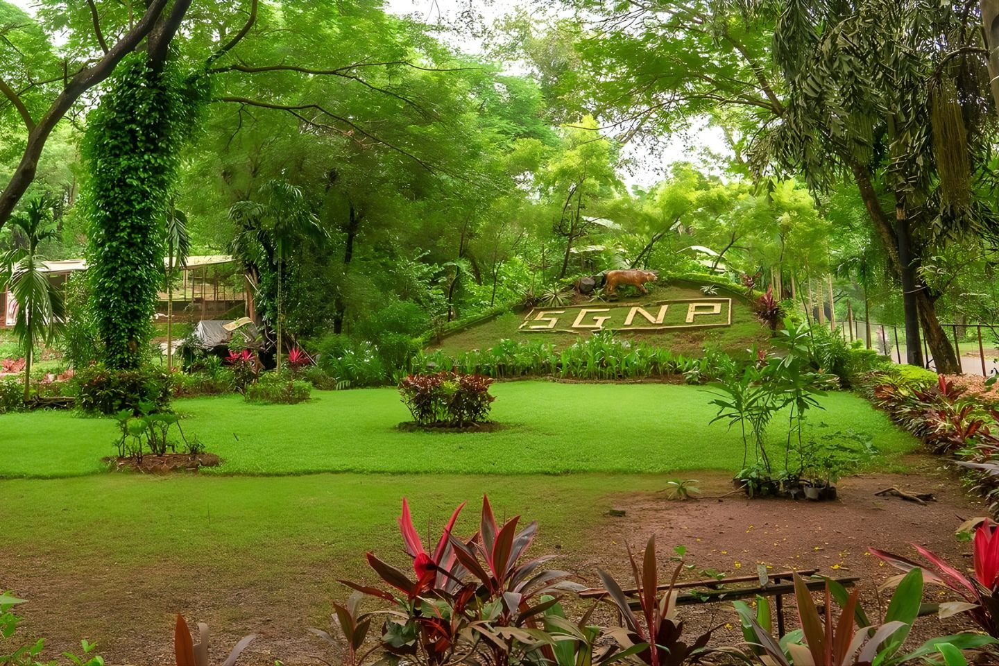 Sanjay Gandhi National Park Mumbai